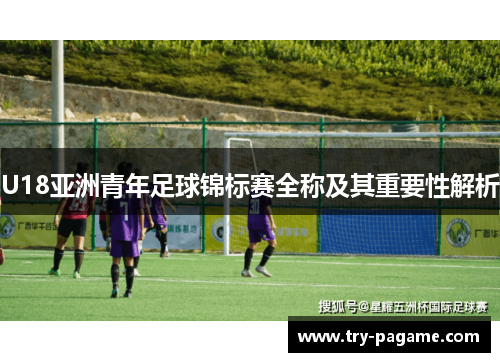 U18亚洲青年足球锦标赛全称及其重要性解析 U18亚洲青年足球锦标赛全称及其重要性解析