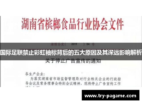 国际足联禁止彩虹袖标背后的五大原因及其深远影响解析 国际足联禁止彩虹袖标背后的五大原因及其深远影响解析