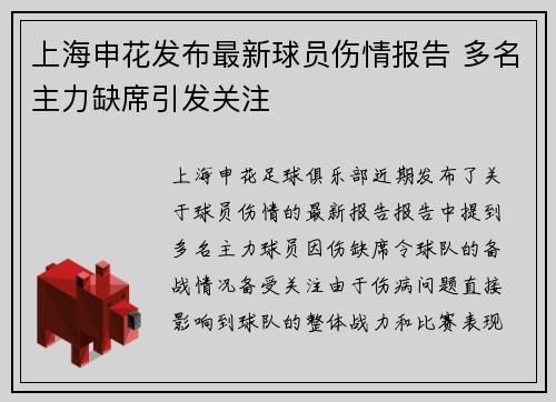 上海申花发布最新球员伤情报告 多名主力缺席引发关注
