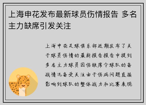 上海申花发布最新球员伤情报告 多名主力缺席引发关注